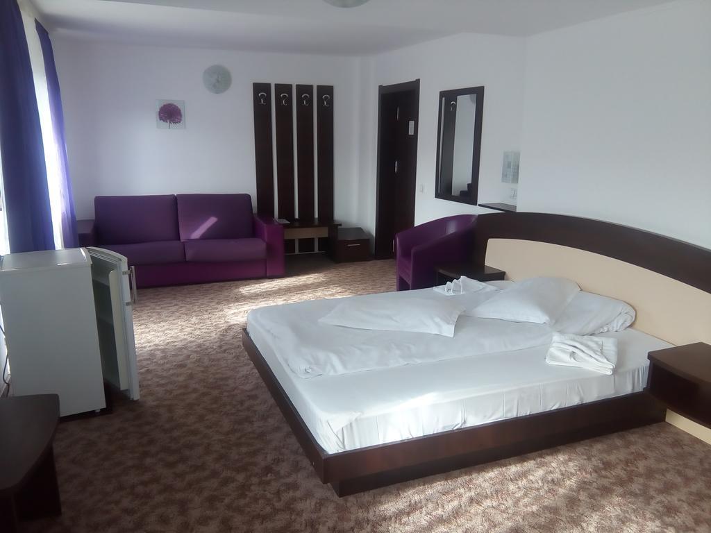 Vila Alegria Busteni Phòng bức ảnh