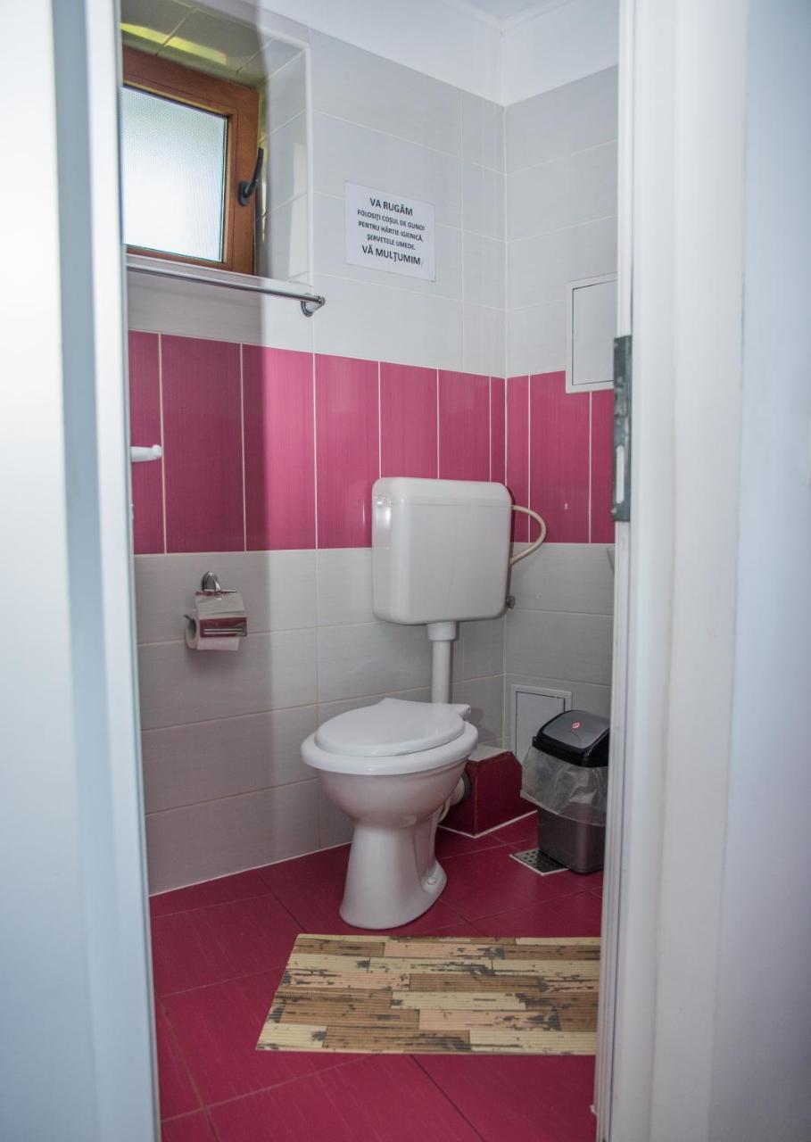 Vila Alegria Busteni Ngoại thất bức ảnh