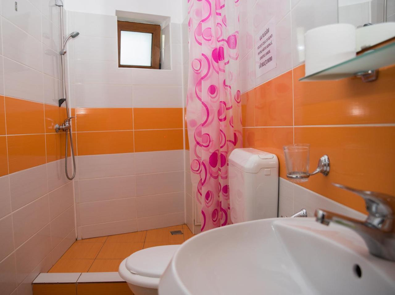 Vila Alegria Busteni Ngoại thất bức ảnh