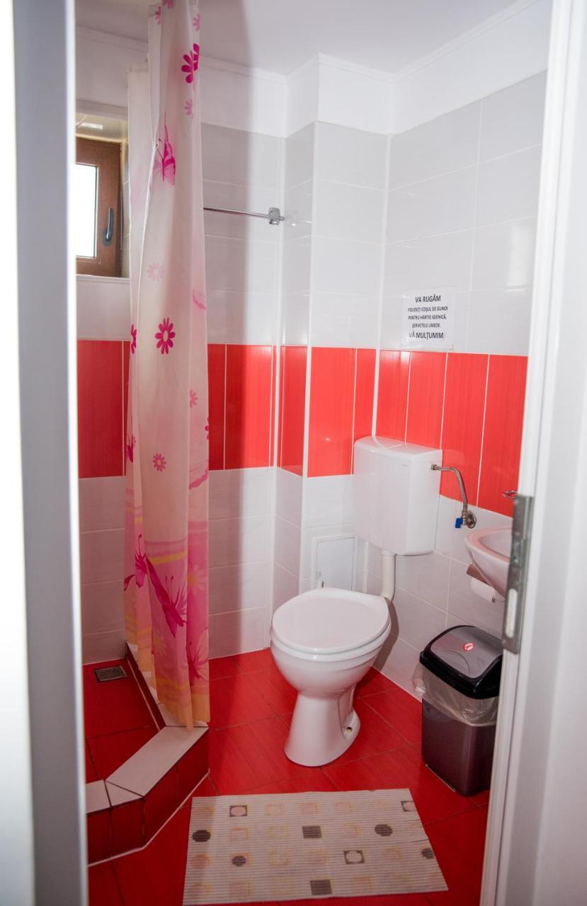 Vila Alegria Busteni Ngoại thất bức ảnh