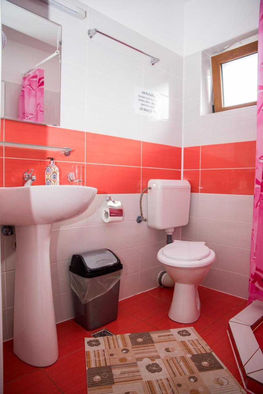 Vila Alegria Busteni Ngoại thất bức ảnh